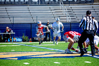 newberry (72) copy