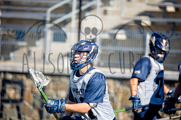 Crown Classic (16) copy