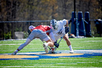 newberry (82) copy