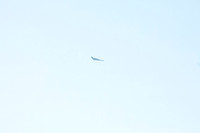 planes -- (7) copy